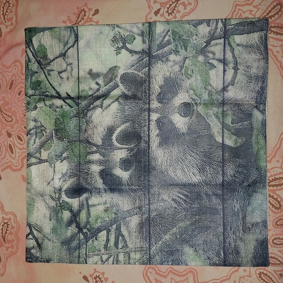 Raccoon Pillow Cover. Real Raccoon. Coon - Picture 2 of 11